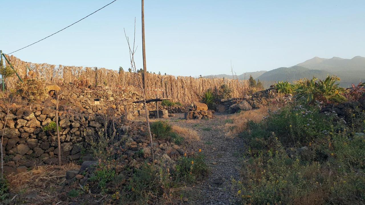 Casitas La Montanita Pension El Paso Buitenkant foto